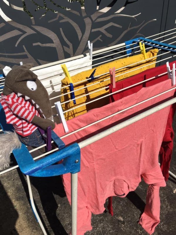 D&eacute;fit: Aider &agrave; mettre le linge &agrave; s&eacute;cher.